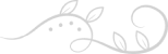 database-right-flower